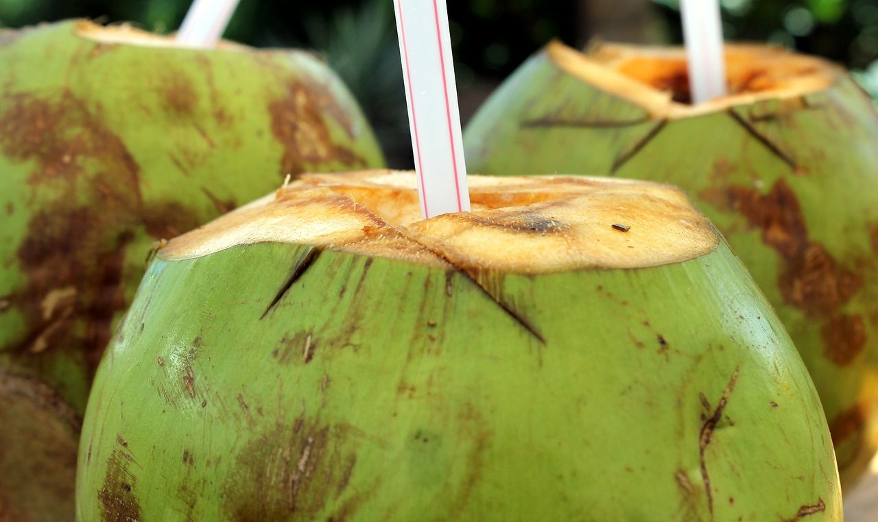 buah kelapa