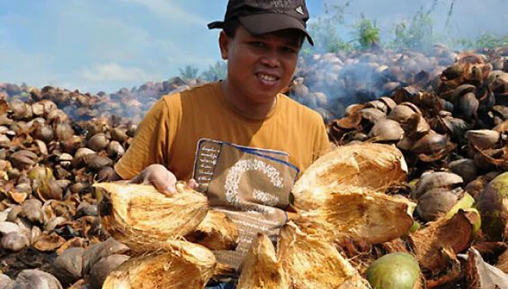 Strategi usaha minyak vco